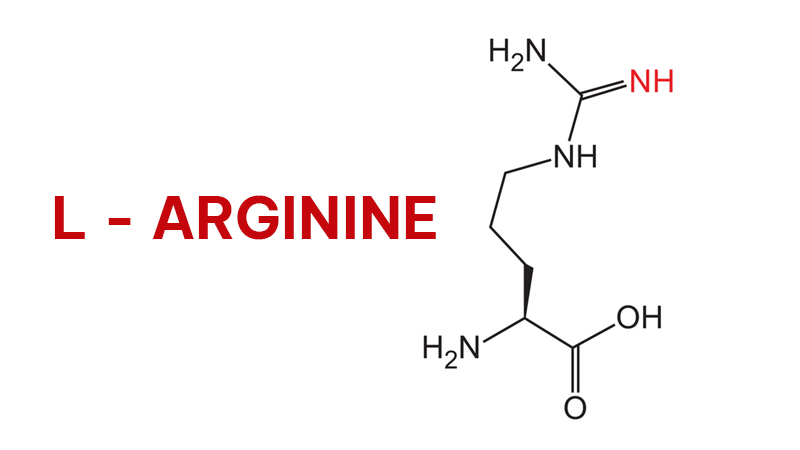 L - arginine là một amino acid.